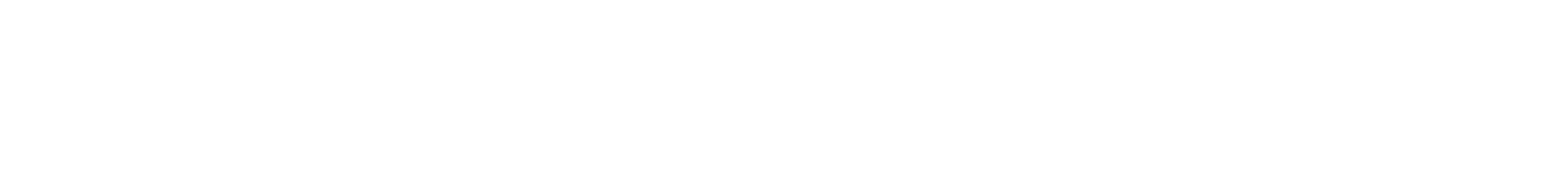 Stelear Capital Logo